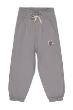 Bas de survêtement gris pour garçon de 2 à 5 ans - Lot