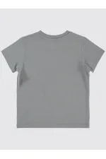 Boy T-Shirt 2-5 Years Old Gray - Pack