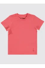 Erkek Çocuk Tişört 2-5 Yaş Yavruagzı - Paket