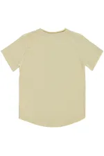 T-shirt garçon 2-5 ans couleur pierre - Lot