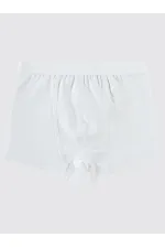 Erkek Çocuk Boxer 2-9 Yaş Yeşil-Beyaz - Paket