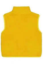 Erkek Çocuk Yelek 2-5 Yaş Hardal - Paket