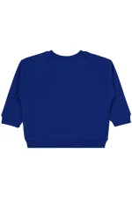 Erkek Çocuk Sweatshirt 2-5 Yaş Saks - Paket