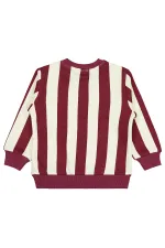 Boys Sweatshirt 2-5 Years Old Burgundy - Package
