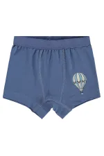 Bebek Boxer 0-24 Ay Standart - Paket