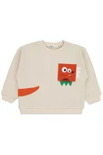 Erkek Çocuk Sweatshirt 2-5 Yaş Taş Rengi - Paket