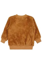 Boys Sweatshirt 2-5 Years Old Cinnamon - Package