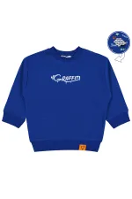 Erkek Çocuk Sweatshirt 2-5 Yaş Saks - Paket