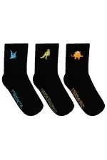 Erkek Çocuk Soket Çorap 2-9 Yaş Standart - Paket