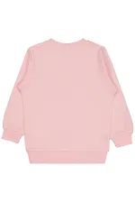 Kız Çocuk Sweatshirt 2-5 Yaş Pembe - Paket