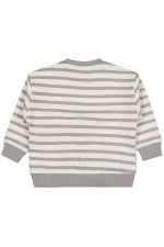 Erkek Çocuk Sweatshirt 2-5 Yaş Gri - Paket