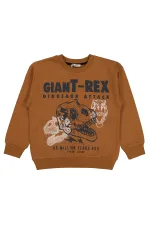 Boys' Sweatshirt 10-13 Years Old Brown - Package