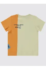 T-shirt garçon 2-5 ans couleur pierre - Lot