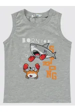 Boys Pajama Set 2-5 Years Old Grimelanj - Package