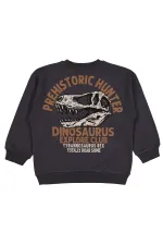 Erkek Çocuk Sweatshirt 6-9 Yaş Antrasit - Paket