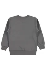 Erkek Çocuk Sweatshirt Km 2-5 Yaş Gri - Paket