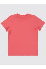 Erkek Çocuk Tişört 2-5 Yaş Yavruagzı - Paket