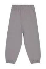 Bas de survêtement gris pour garçon de 2 à 5 ans - Lot