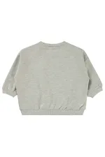 Bebek Sweatshirt 0-24 Ay Karmelanj - Paket