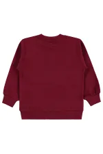Erkek Çocuk Sweatshirt Km 2-5 Yaş Bordo - Paket