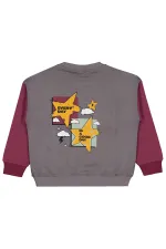 Erkek Çocuk Sweatshirt 6-9 Yaş Bordo - Paket