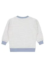 Boy Sweatshirt 2-5 Years Blue - Package