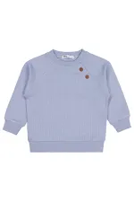 Boy Sweatshirt 2-5 Years Blue - Package