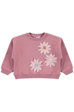 Kız Çocuk Sweatshirt 2-5 Yaş Gül Kurusu - Paket