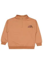 Erkek Çocuk Sweatshirt 10-13 Yaş Tarçın - Paket