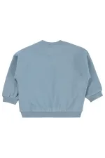 Bebek Sweatshirt 0-24 Ay Buz Mavi - Paket