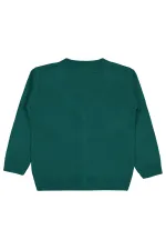 Erkek Çocuk Hırka 2-5 Yaş Yeşil - Paket