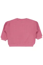 Sweat-shirt bébé 0-24 mois Rose poudré - Lot