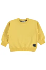 Boys' Sweatshirt, Ages 2-5, Mustard - Pack