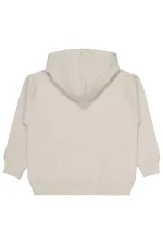 Sweat-shirt garçon 10-13 ans Gris clair - Emballage