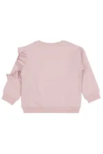 Kız Çocuk Sweatshirt 2-5 Yaş Açık Gül Kurusu - Paket