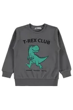 Erkek Çocuk Sweatshirt Km 2-5 Yaş Gri - Paket