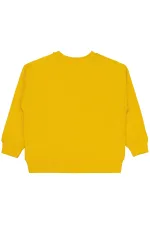Erkek Çocuk Sweatshirt 6-9 Yaş Sarı - Paket