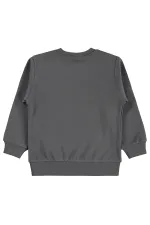 Erkek Çocuk Sweatshirt Km 2-5 Yaş Gri - Paket