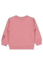 Girl's Sweatshirt 2-5 Years Old Dusty Rose - Package