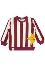 Boys Sweatshirt 2-5 Years Old Burgundy - Package