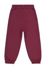 Bas de survêtement garçon 6-9 ans bordeaux - Lot