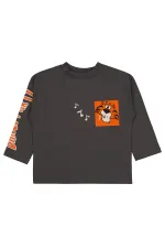 Boy Sweatshirt 2-5 Years Old Anthracite - Package