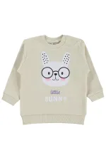 Bebek Sweatshirt 0-24 Ay FilDişi - Paket