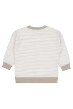 Boy Sweatshirt 2-5 Years Mink - Package