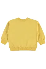 Boys' Sweatshirt, Ages 2-5, Mustard - Pack