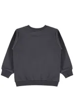 Sweat-shirt pour fille, 2-5 ans, anthracite - Emballage