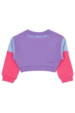 Kız Çocuk Sweatshirt 2-5 Yaş Mor - Paket