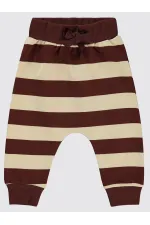 Baby Sweatpants 0-24 Months Chocolate Brown - Pack