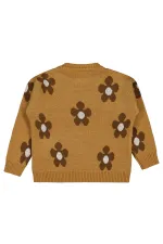 Girl Sweater 2-5 Years Old Biscuit - Package