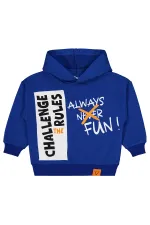 Erkek Çocuk Sweatshirt 2-5 Yaş Saks - Paket